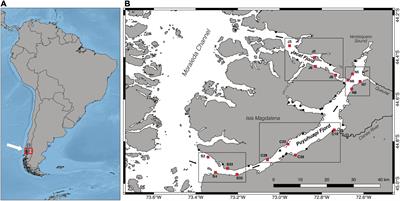 Hard-Bottom Megabenthic Communities of a Chilean Fjord System: Sentinels for Climate Change?